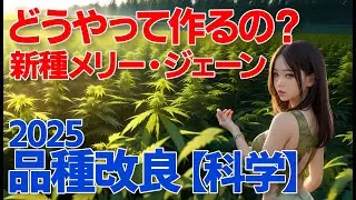 〇〇と〇〇で新たな
