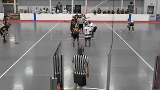 (4K) West Coast Express vs. Vancouver TMD (4/20/22) Ball Hockey (Premier Ball Hockey League) #hockey