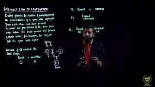 Mendel&rsquo;s law of segregation || 10TH BIOLOGY || EM || CHP 15 || PCTB INSAF ACADEMY ||