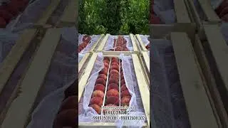 7 декабря 2023 г.