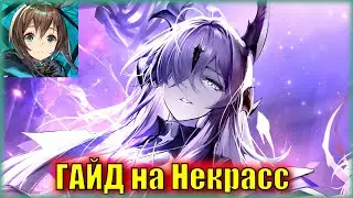 TO SPIN NECROMANCER or NOT? GUIDE to 6⭐ operator Necrass | Arknights
