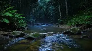 ASMR River Sounds at Night 🌙 Crickets & Jungle Insects | Deep Sleep & Relaxation