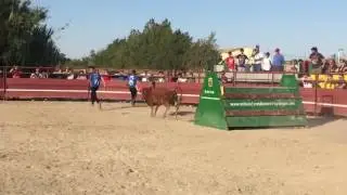 El Pipo obst&aacute;culos