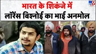 Breaking News: भारत के शिकंजे में लॉरेंस बिश्नोई का भाई Anmol Bishnoi - TV9 | Lawrence Bishnoi