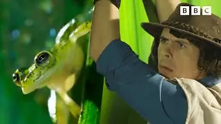 Karate Frog! 🐸 | Andy's Aquatic Adventures