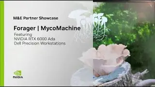3D Volumetric Time-Lapse with Forager - M&E Partner Showcase