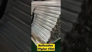 Daily Production of Film Roll -Which do you prefer?