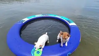 Blossom & Boone at Lake Georgetown