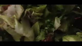 Giga tacos