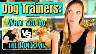 Marketing for Dog Trainers: Stop selling what you DO | Part 2