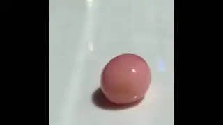 9.23ct Pink Conch Pearl with Flame (4)