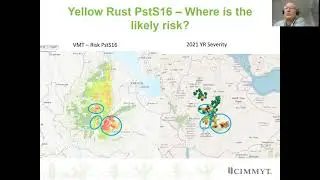 Dave Hodson - Overview of Current Wheat Rust Situation and Surveillance Systems