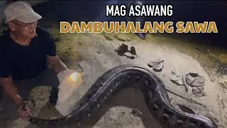 MAG-ASAWANG DAMBUHALANG SAWA