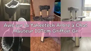 Avis sur la Yaheetech Arbre &agrave; Chat Hauteur 107cm Griffoir Grattoir Tour de Jeux pour Chats avec Cent