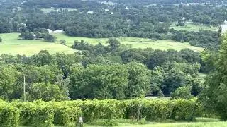 Through eyes in Bluemont winery | Best vineyard in Loudoun, Virginia
