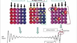 Diffusion Lecture 1, February 24, 2020