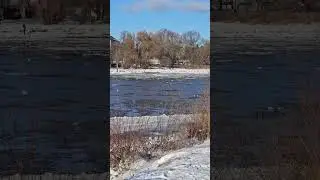 Dresden - Elbe friert langsam zu - 10.01.2026