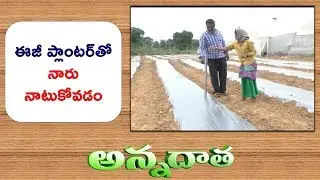 Easy Planter | A Simple Tool for Low Cost Transplantation | Of Horticrops || ETV Anndata