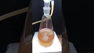 Amide Hydrolysis ⚗️#science #chemistry #experiment #satisfying #automobile #art #gaming #food