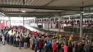 Glashauslauf Emsb&uuml;ren 18.02.2018 ...Start 10km
