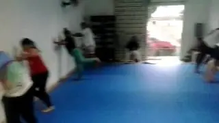 Kickboxing joelhada(1)