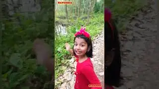 Parmadan vlog( Bibhutibhushan avayaranya)