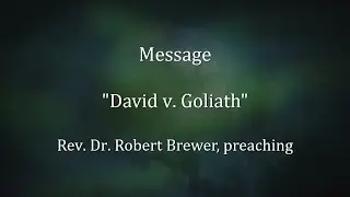 2006-02-01: David v. Goliath