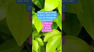 Which can be long or short, cold or hot, and can disappear in seconds?