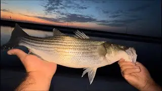 California Aqueduct | fishing early morning!!! Also fishing my favorite dirt canal!!!