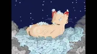 🌙Snow Fox(animation loop)❄️