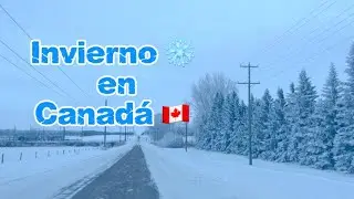 Cuando el invierno transforma Brandon, Manitoba.