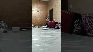 #Акбата #аккордеон #кыргызчаырлар