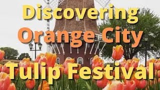 Discovering The Orange City, Iowa - Tulip Festival