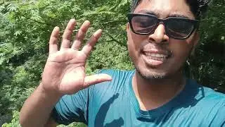 🏞️ Unseen Beauty of Assam | Borjhora Falls