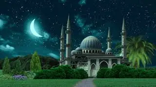 Describe the practice and importance of Salah  in Islam
