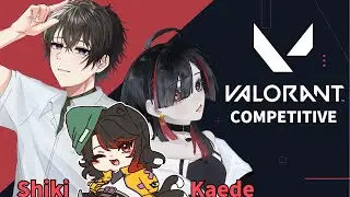 【VALORANT】のらねこです【#猫姫黒火/#Vtuber】