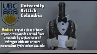 Wine News