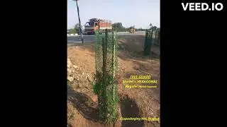 ECONET Tree Guards