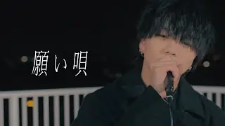 願い唄 / スガオ 【Music Video】