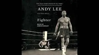 Fighter - Andy Lee