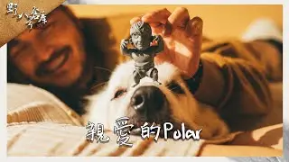 親愛的Polar【野人八號倉庫】