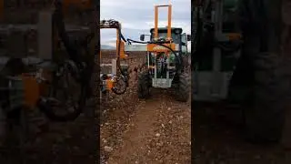 prepodadora vi&ntilde;a en cintruenigo