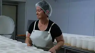 Formation 7 - Se lancer dans la production du Camembert Fermier Naturel