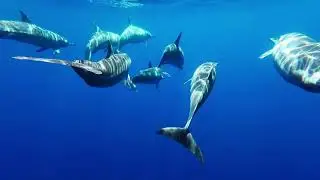 Beautiful Worship Piano | Peaceful Instrumental Music for Prayer, Meditation & Rest