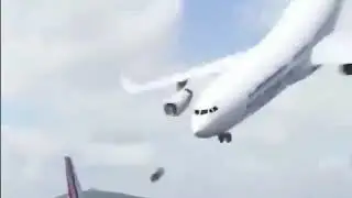 Big bird vs small bird 🤣🤣🤣