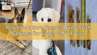 Review Nature Gnaws Bully Stick Springs for Dogs 7-8