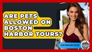 Are Pets Allowed on Boston Harbor Tours? - Everything About Boston