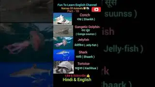 🐬 Aquatic Sea Animals Names #english#hindi#vocabulary#nature#space#geography#words#summer#shorts