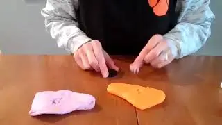 Hard vs. Soft Bodied Animals