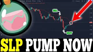 SLP HUGE PUMP TODAY !! SMOOTH LOVE POTION PRICE UPDATE